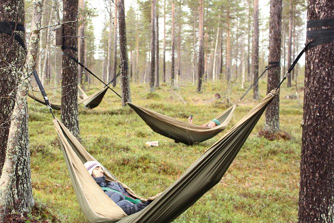Cocooning in the HaliPuu forest: The ultimate Arctic hammock relaxation - Arriving at HaliPuu: Pappa, Hugging Pines, and the Cocoons Game