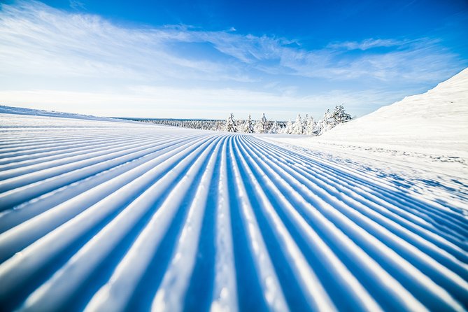 Cross-Country Skiing Trip - What your $119.27 includes, and why the value is more than the price