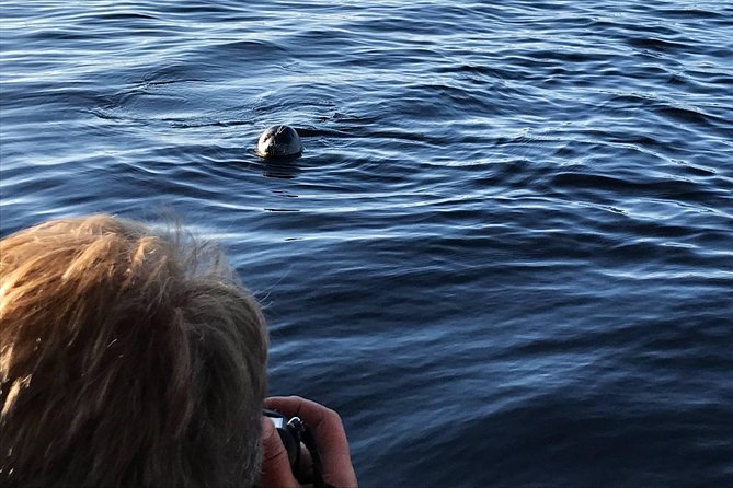 Cruise in Puumala by Lake Saimaa - Booking and Timing: A Simple Plan That Works