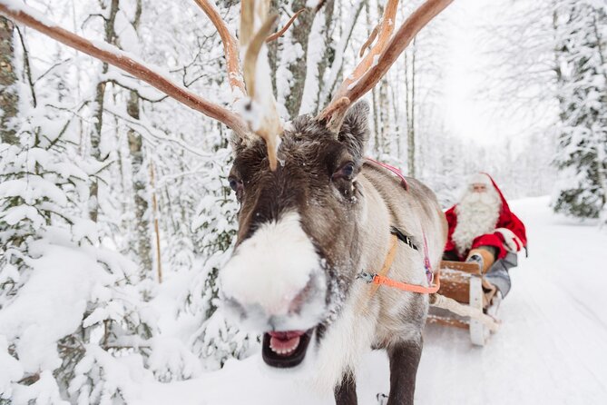 Daytour to Santa Claus Village, Reindeer and Husky Safaris, Photo, and Lunch - Why this Santa Claus Village day works (Santa, reindeer, huskies)