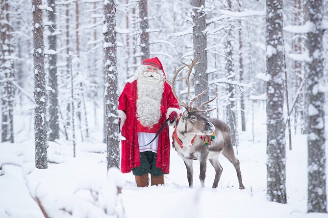 Daytour to Santa Claus Village, Reindeer and Husky Safaris, Photo, and Lunch - Santa Claus Office: guaranteed meeting plus the framed A4 photo