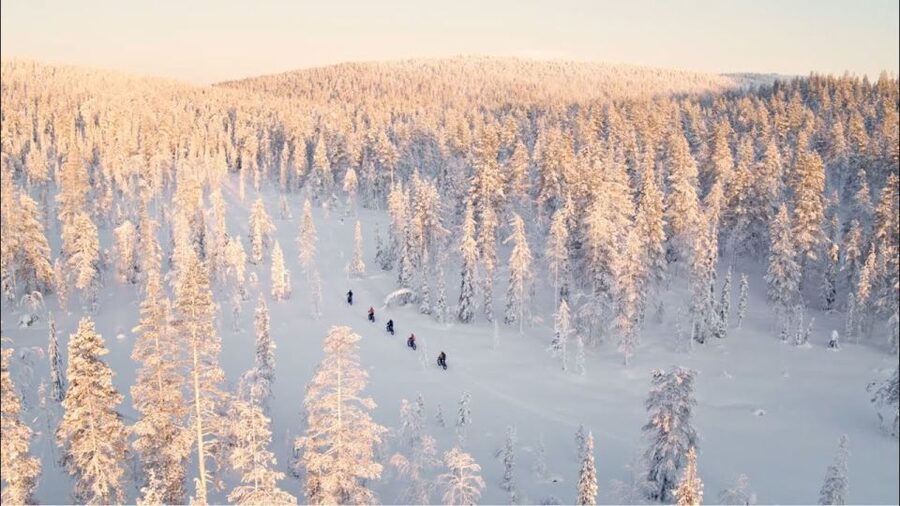 E-FatBike experience in small groups - Into the snowy forest: what the first stretch feels like