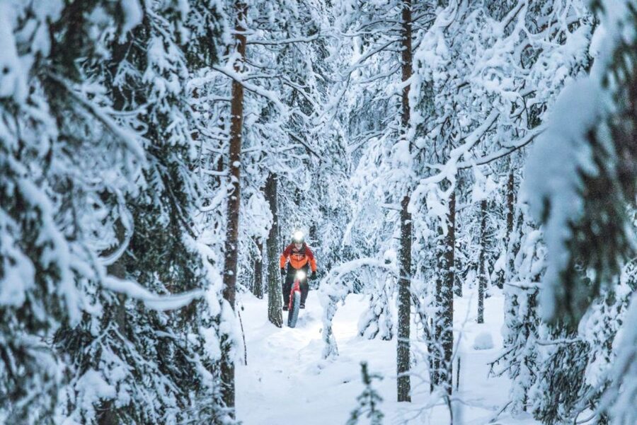 E-FatBike experience in small groups - E-fatbike reality check: easy uphill, winter still counts
