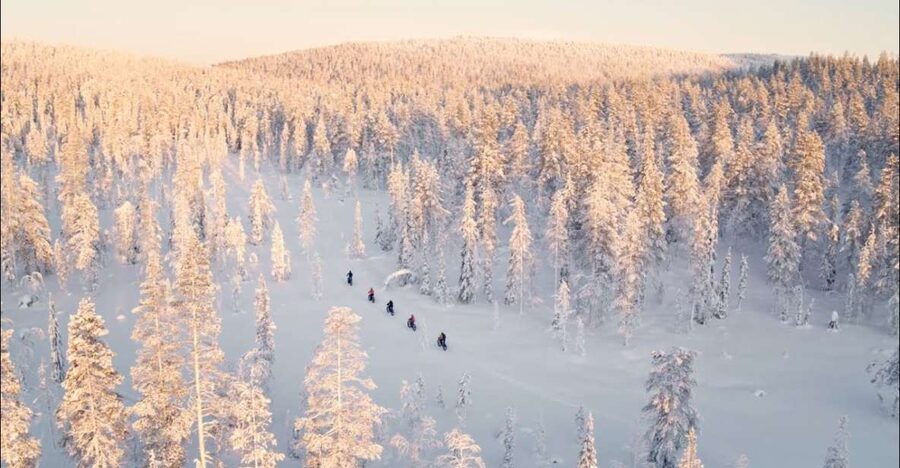 E-FatBike experience in small groups - Price and value: what you are paying for