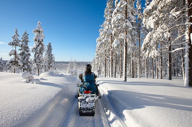 Easy Snowmobile Safari - Frozen River Starts the Ride, Then the Forest Takes Over