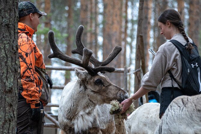 Electric Fatbike Trip to the Reindeer Farm - Electric fatbikes in Rovaniemi, why it feels easier than it sounds