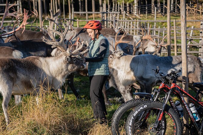 Electric Fatbike Trip to the Reindeer Farm - Cycling back to Rovaniemi on a different route, why it matters