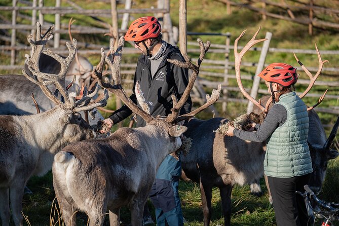 Electric Fatbike Trip to the Reindeer Farm - A practical call, should you book it