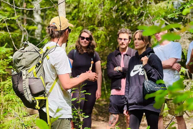 Enchanting Afternoon in Nuuksio National Park with Campfire snack - Key Highlights You Should Know Before You Go
