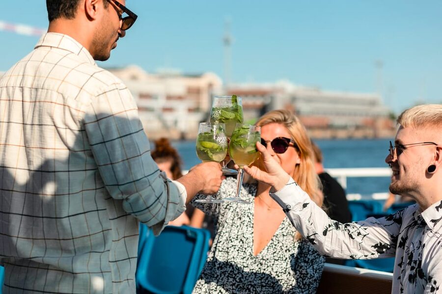 Espoo: Archipelago Terrace Cruise - Accessibility: The Big Catch to Confirm Before You Go