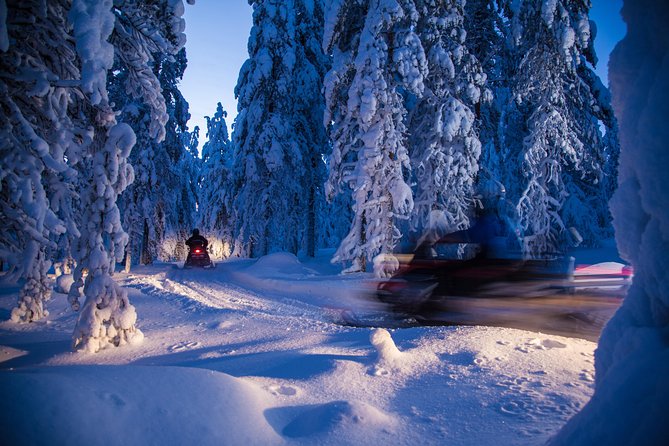 Evening Escape - Snowmobile safari and campfire in Rovaniemi - Price and Value: About $183 for a 3-Hour Arctic Night