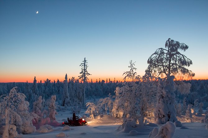 Evening Escape - Snowmobile safari and campfire in Rovaniemi - The Dark Ride Through Arctic Forest, Headlights, and Real Winter Calm
