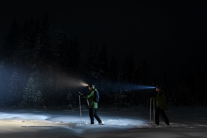 Evening Ski Trek to the Wilderness - Extra Small group - The Main Trek Across Snowy Forest and Frozen Swamps