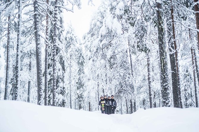 Explore the Wilderness - Entering The Arctic Woods With a Guide Who Handles the Details