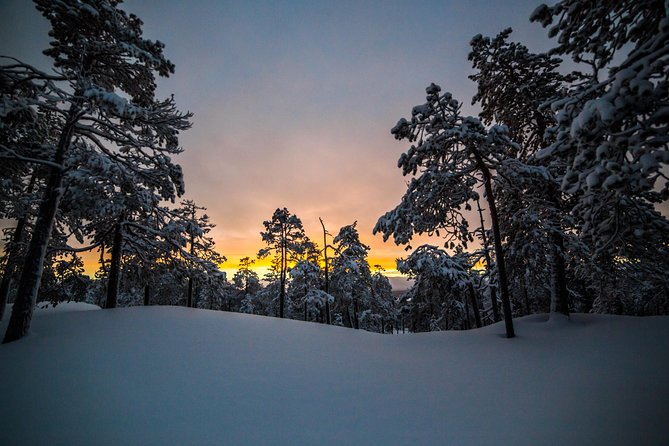 Explore the Wilderness - Photo Tips You Can Use Immediately, Plus Edited Images After