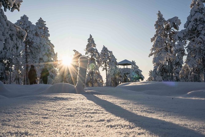 Explore the Wilderness - Who This Hike Is Best For in Rovaniemi