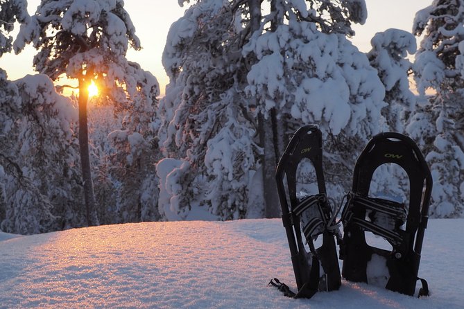 Explore Winter Woods: Snowshoe walk with local Biologist - Key things to know before you step onto the snow