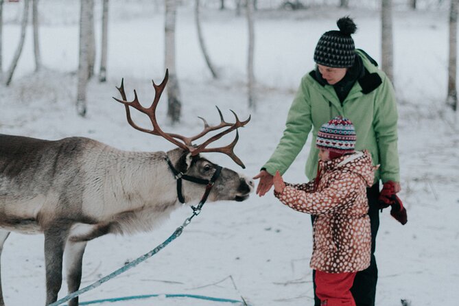 Family day: Reindeer, Husky and Snowmobiling in Levi - Key highlights you should care about