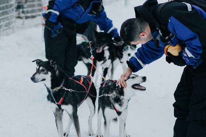 Family day: Reindeer, Husky and Snowmobiling in Levi - Snow for kids: mini-snowmobiling track for ages 4 to 12