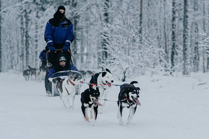 Family day: Reindeer, Husky and Snowmobiling in Levi - Cold-weather reality check: how to pack so you stay happy