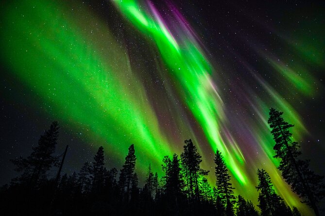 Family-Friendly: Northern Lights Adventure from Rovaniemi - Key things that make this tour a smart Northern Lights pick