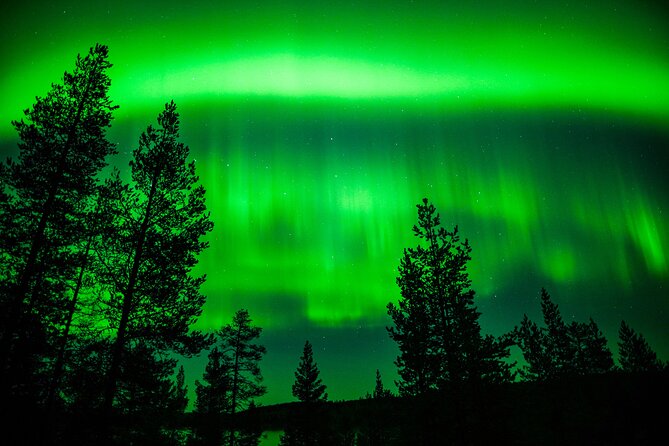 Family-Friendly: Northern Lights Adventure from Rovaniemi - Photos, Tripods, and How to Think About Camera Timing