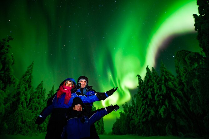 Family-Friendly: Northern Lights Adventure from Rovaniemi - Group Size, Guide Style, and What That Does to Your Night