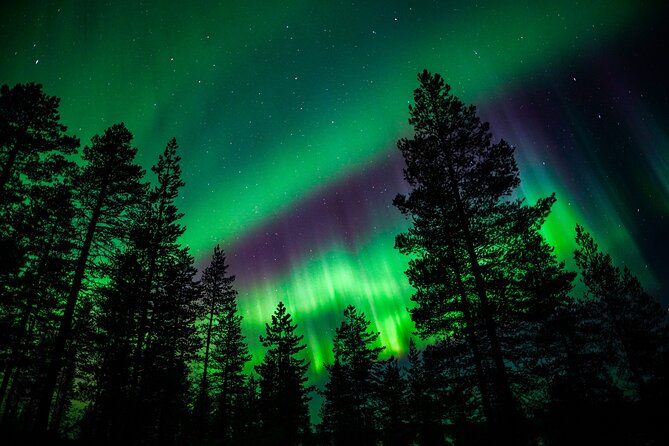 Family-Friendly: Northern Lights Adventure from Rovaniemi - Price and Value for a 3-Hour Northern Lights Package