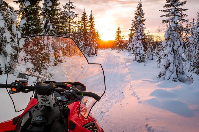 Family Snowmobile Safari in Rovaniemi - The 1 Hour 10 Minute Arctic Ride: Forest Views, Photo Stops, and Pace