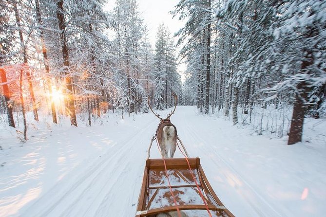 Forest Trail Reindeer Safari - Winter clothes, hot drinks, and the cold you should plan for