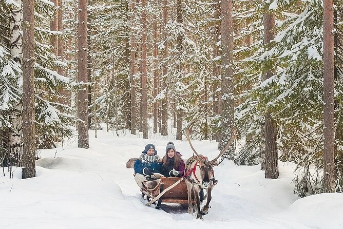 Forest Trail Reindeer Safari - Timing, group size, and how the day flows