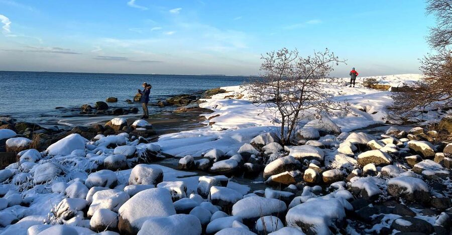 From Helsinki: Archipelago Excursion in Porkkalaniemi - Berries, Wild Mushrooms, and Bird Life You Can Actually Spot