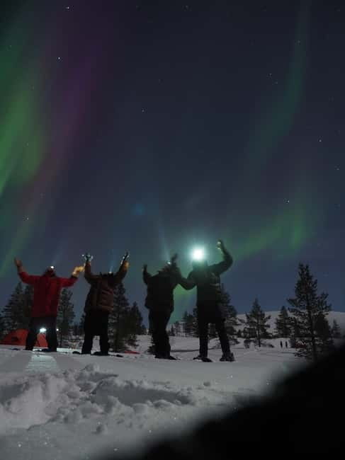 From Helsinki: Guided Forest Walk in the dark with campfire - Key highlights you will actually feel