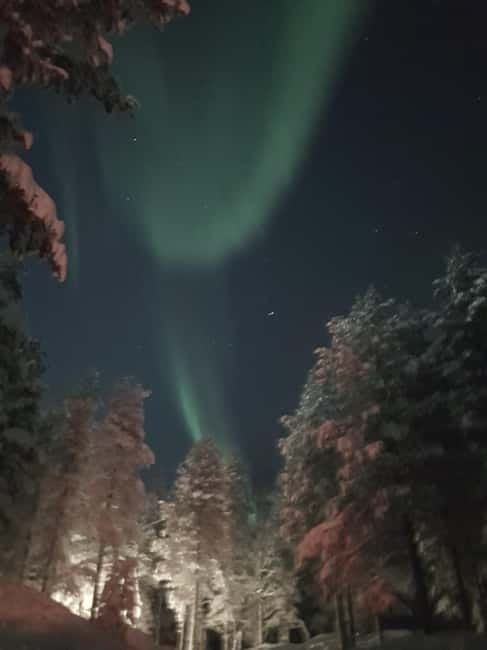 From Helsinki: Guided Forest Walk in the dark with campfire - Winter darkness in Tuusula: why a flashlight walk works