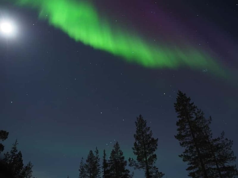 From Helsinki: Guided Forest Walk in the dark with campfire - The guide stories and what they add to the darkness