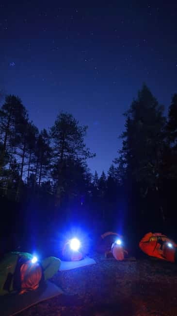 From Helsinki: Guided Forest Walk in the dark with campfire - Mindfulness in the woods: how you should use it