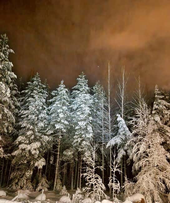 From Helsinki: Guided Forest Walk in the dark with campfire - Campfire hut time: warm drink, savory snack, and real coziness