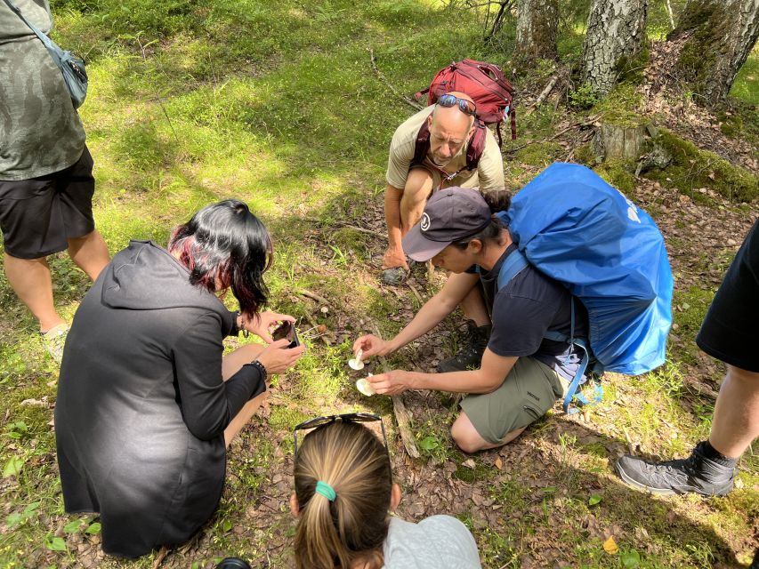 From Helsinki: Hike and Sauna in Sipoonkorpi National Park - Weather and the Rain or Shine Reality