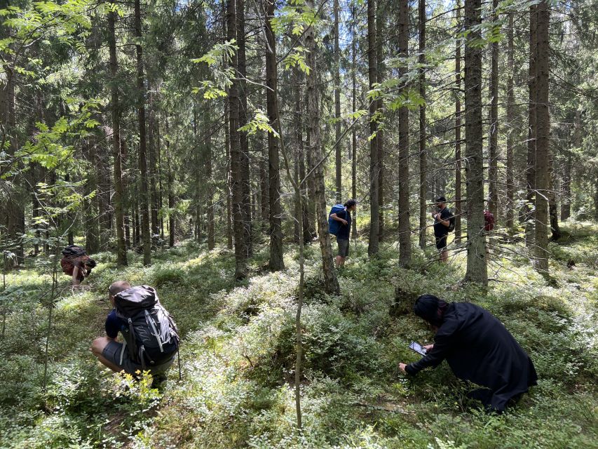From Helsinki: Hike and Sauna in Sipoonkorpi National Park - Sipoonkorpi National Park: Taiga-Style Hike With Real Nature Talk