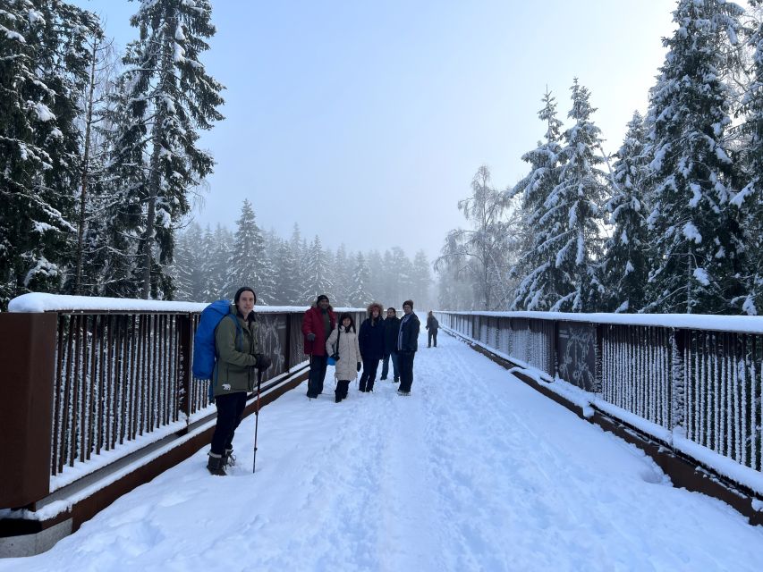 From Helsinki: Hike and Sauna in Sipoonkorpi National Park - The Cold Lake Dip: Comfort Tips That Keep It Fun