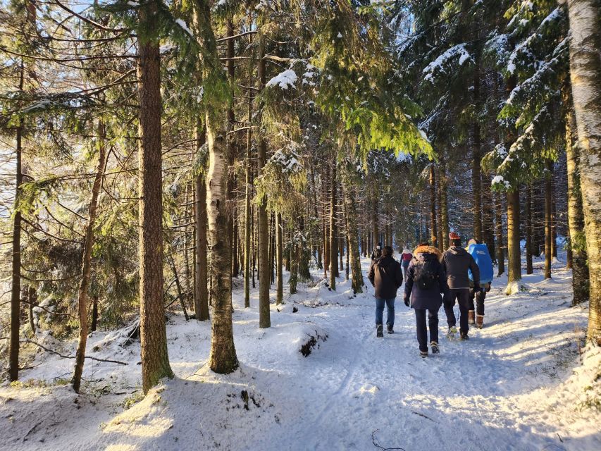 From Helsinki: Hike and Sauna in Sipoonkorpi National Park - Who This Trip Fits Best (and Who Should Skip It)