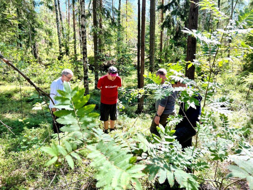 From Helsinki: Hike and Sauna in Sipoonkorpi National Park - Kuusijärvi Lake Break and the Lunch That Keeps the Day on Track