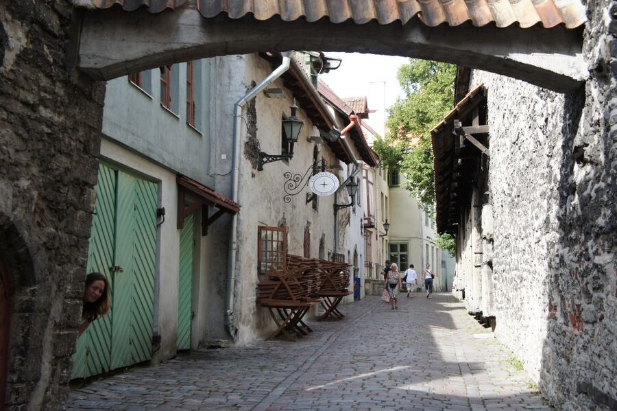 From Helsinki: Luxury Trip to Tallinn Ferry +VIP Car - Languages and a private group feel that makes questions easier