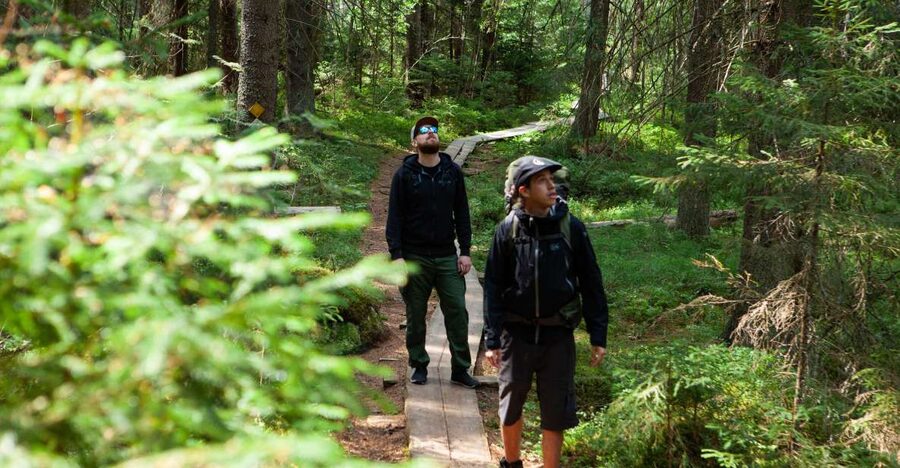 From Helsinki: Magical Taiga Hike in Liesjärvi National Park - Should you book the Magical Taiga Hike?