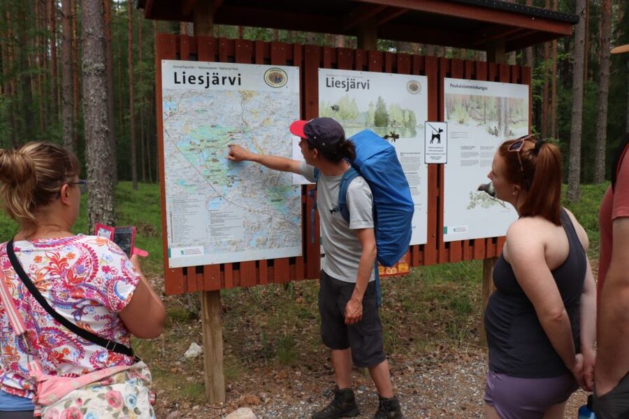 From Helsinki: Magical Taiga Hike in Liesjärvi National Park - From Helsinki to Liesjärvi, minus the hassle