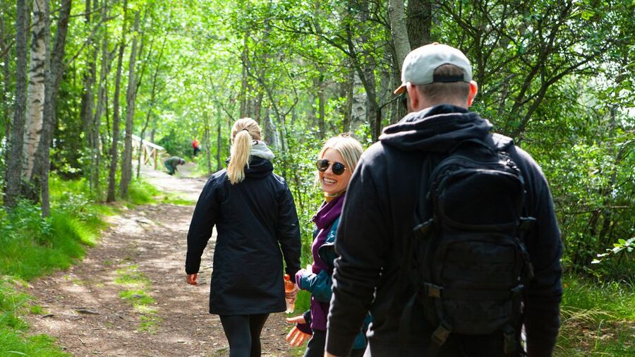 From Helsinki: Magical Taiga Hike in Liesjärvi National Park - How the guide turns the forest into a learning moment