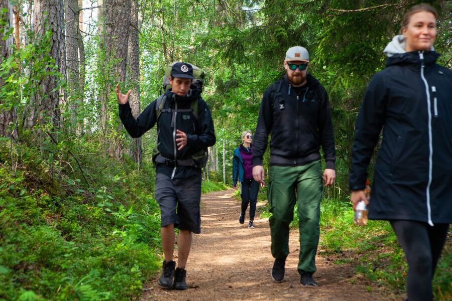 From Helsinki: Magical Taiga Hike in Liesjärvi National Park - Weather reality: rain or shine, with smart backups