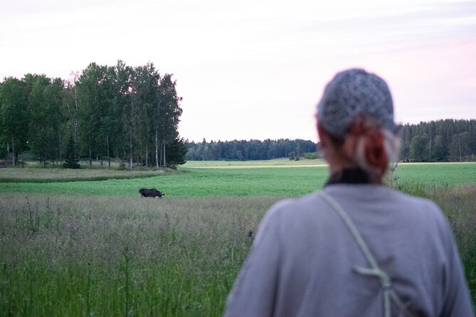 From Helsinki: Moose Safari with Campfire Dinner - How the guide helps you actually see animals