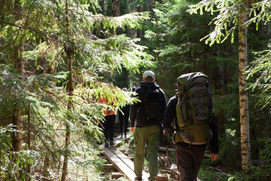 From Helsinki: Mushroom Hunting Tour in a National Park - Key things I’d plan around