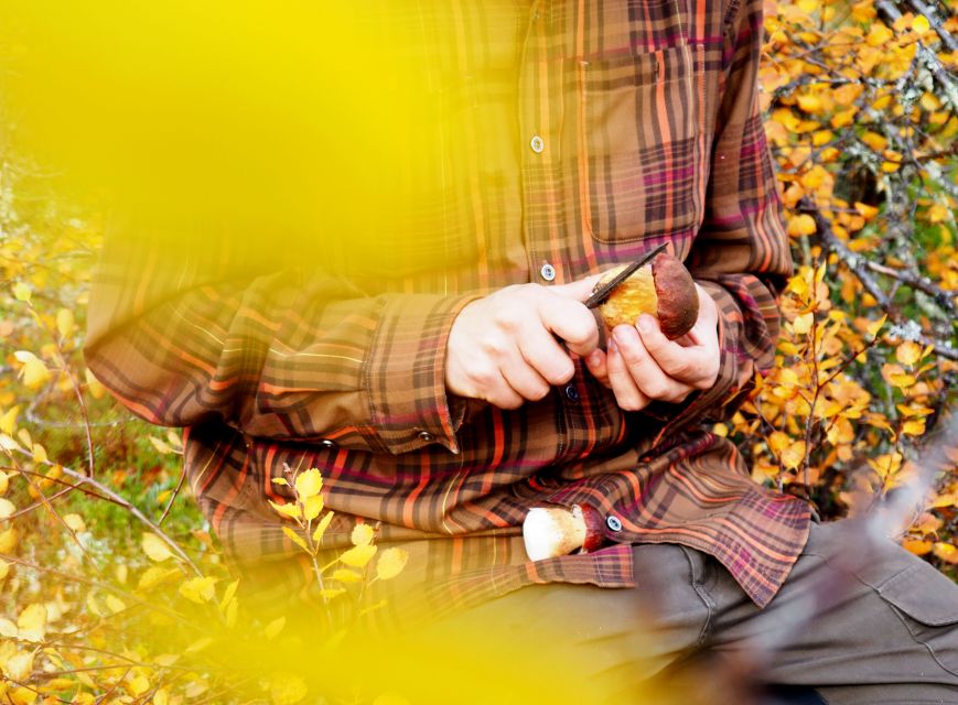 From Helsinki: Mushroom Hunting Tour in a National Park - Tips to make your hunt better on the ground